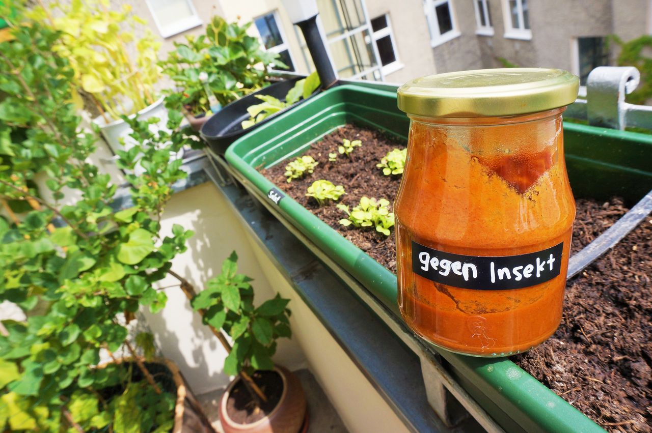 手作り植物用殺虫剤 ドイツの田舎で夢のオーガニック ファームライフ