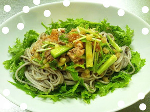 豚肉・梅きゅうりそばっ★
