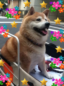 ソラ★