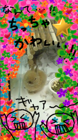 À¤³¦°ì¤Á¤¤¤µ¤¤¤¦¤µ¤®