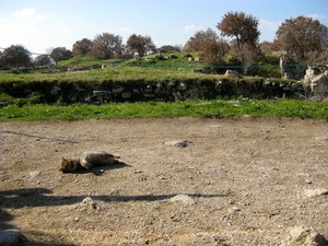 �ȥ������פˤ��2