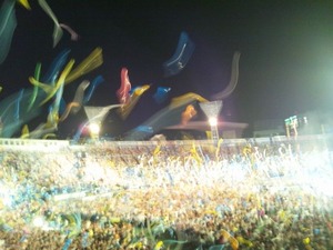 ���ͥ����������