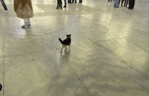 ���䥽�ե����ˤ��2