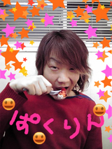 ¤Ñ¤¯¤ê¤ó¥Þ¥³¥È¥ó¡ú