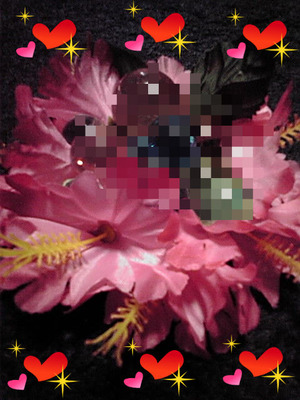 PLINK?ボール★