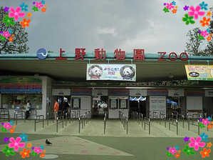 上野動物園★