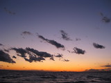海