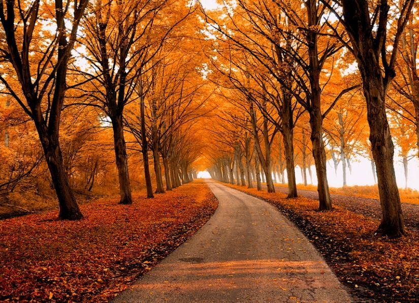 画像をダウンロード 秋 風景 写真