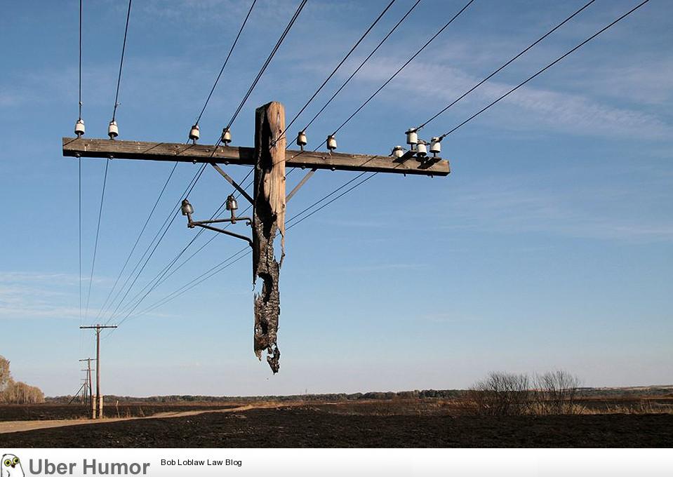 野火に焼かれた木製の電信柱が凄いことに Plum Heart