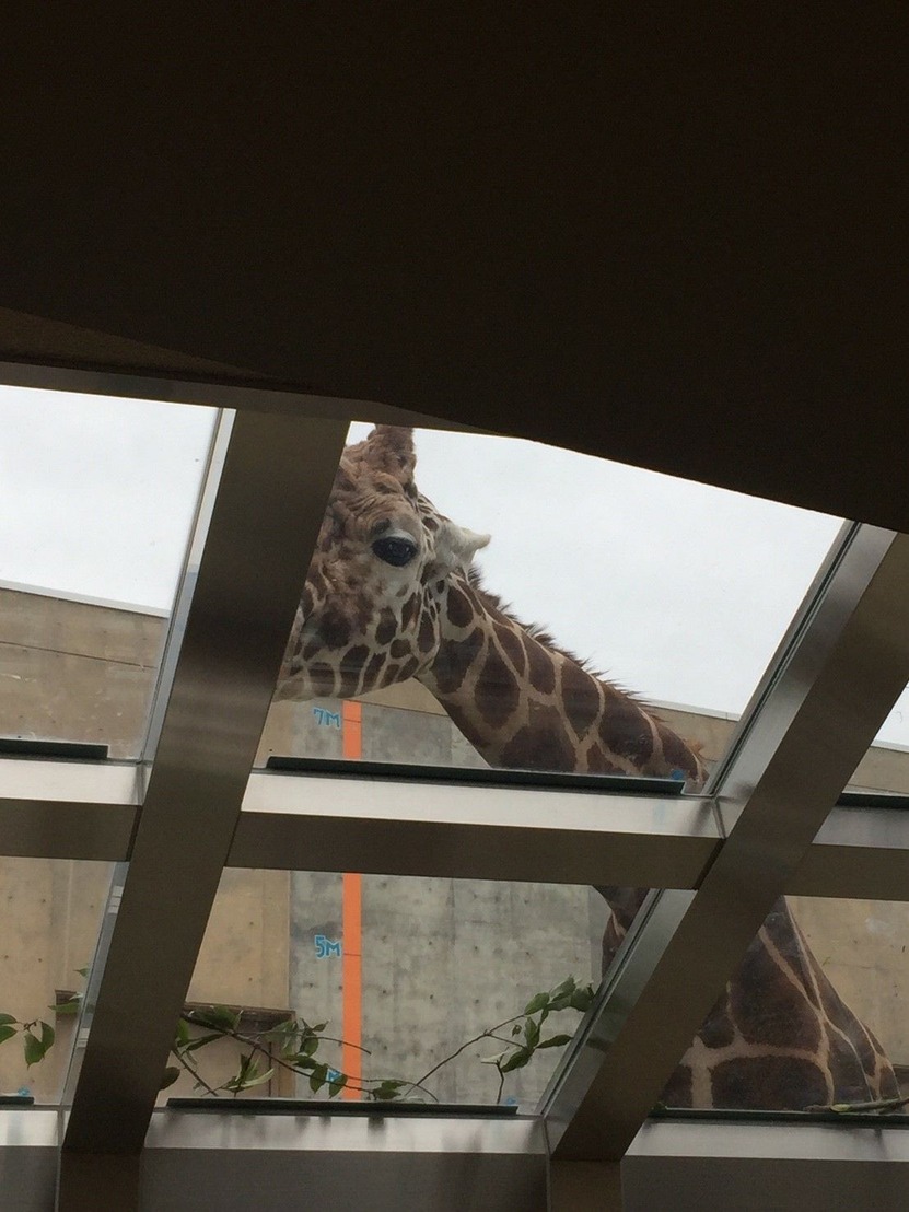 172137