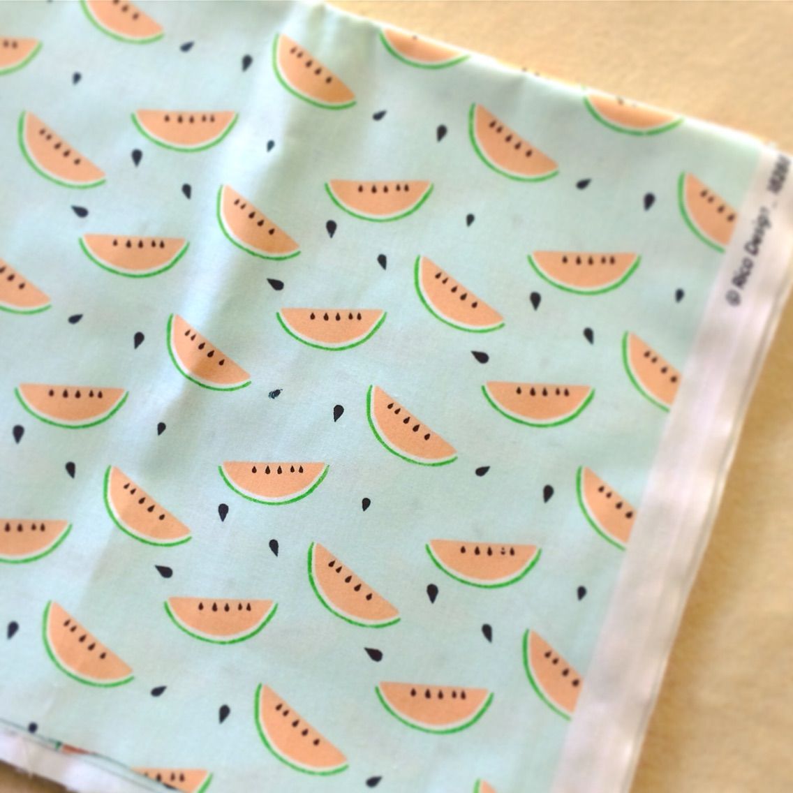 Rico Designのスイカ柄 Mon Journal Rico Designのスイカ柄 Mon Journal