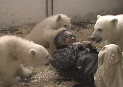 衝撃 ムツゴロウさんが動物に飽きていた事が判明 動物愛ふーっとなくなった プルメリア速報 プル速 衝撃 ムツゴロウさんが動物に飽きていた事が判明 動物愛ふーっとなくなった プルメリア速報 プル速