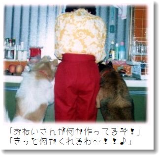 コロ＆チロ&おねいさんのおしり