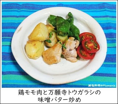 ·ÜÆù¤ÈËü´ê»û¥È¥¦¥¬¥é¥·¤ÎÌ£Á¹¥Ð¥¿¡¼ -20210609