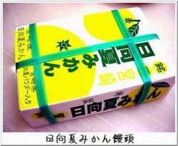 Æü¸þ²Æ¤ß¤«¤óÈ¢