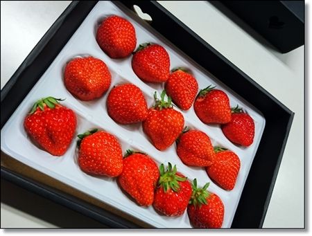 ���̤��Ҥ�