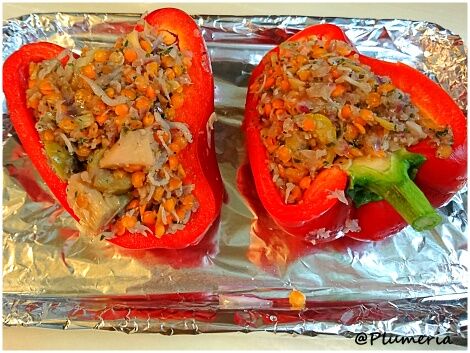 �ѥץꥫ�Υ��饹�ȥ��Ʀ�ͤ� (�Ƥ���)