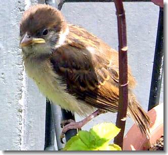 ��������֤����