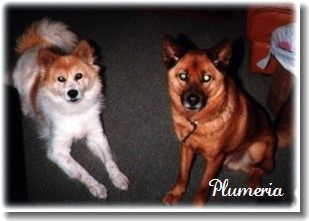 �����������Ե�