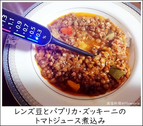 ¥ì¥ó¥ºÆ¦¤È¥Ñ¥×¥ê¥«¥º¥Ã¥¡¼¥Ë¼Ñ¹þ¤ß-20210124