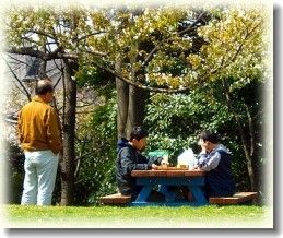 �ָ��Ǿ���