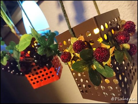 ¥¥ã¥ó¥É¥ë¤¤¤¤Á¤´