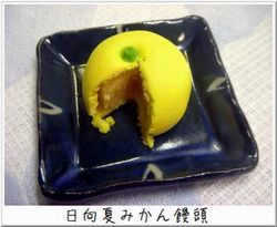 Æü¸þ²Æ¤ß¤«¤ó