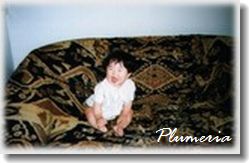 �����ȼ�