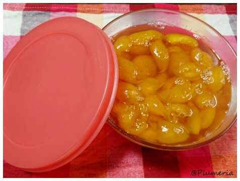 �ӥ�Υ���ݡ���