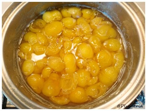 �ӥ�Υ���ݡ��� (��)