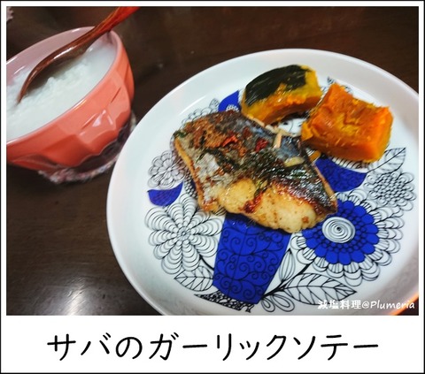 ¥µ¥Ð¤Î¥¬¡¼¥ê¥Ã¥¯¥½¥Æ¡¼-20210215