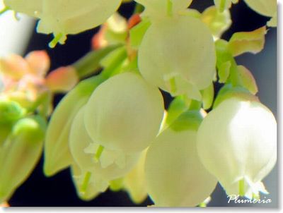 ֥롼٥꡼֤襤ƿ٤㤤