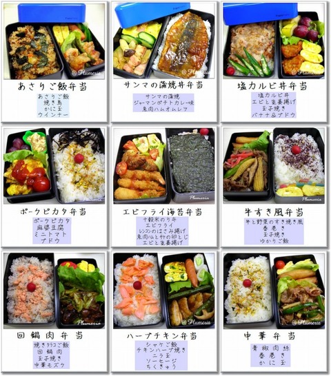 Ãæ³ØÀ¸ÊÛÅö91-99