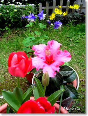 4·î¤Î¥Ï¥¤¥Ó¥¹¥«¥¹