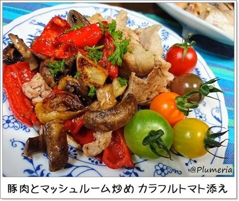 �����ȥޥå���롼���֤ᥫ��ե�ȥޥ�ź��