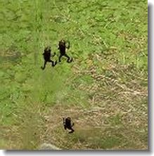 �����륭�å�1