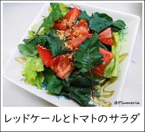 ¥ì¥Ã¥É¥±¡¼¥ë¤È¥È¥Þ¥È¤Î¥µ¥é¥À
