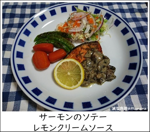 ¥µ¡¼¥â¥ó¥½¥Æ¡¼¡¡¥ì¥â¥ó¥¯¥ê¡¼¥à-20210601