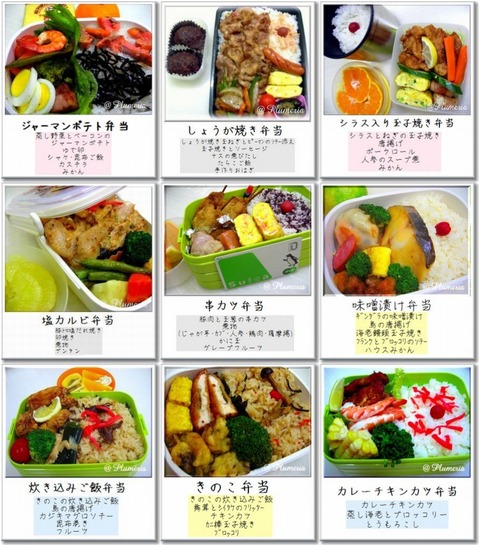 Ãæ³ØÀ¸ÊÛÅö73-81