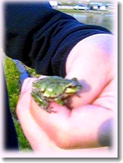 ���������룳