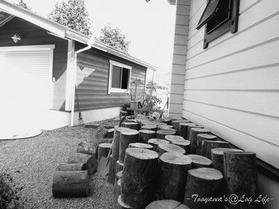 P1070083 白黒400pic name