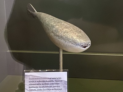 FyErWDTaEAEnkki
