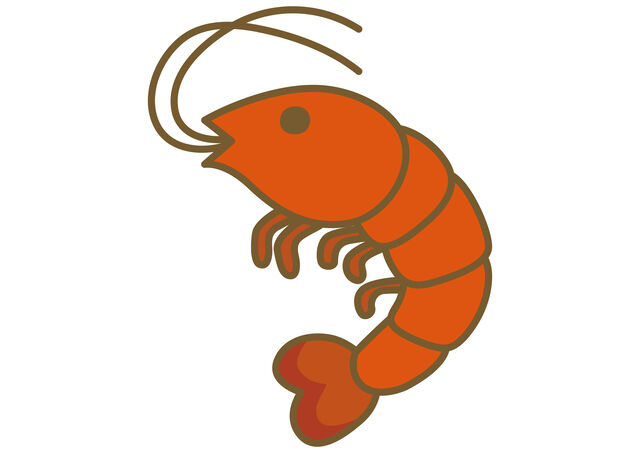 画像 ワイ家の水槽エビに侵食される ろいアンテナ