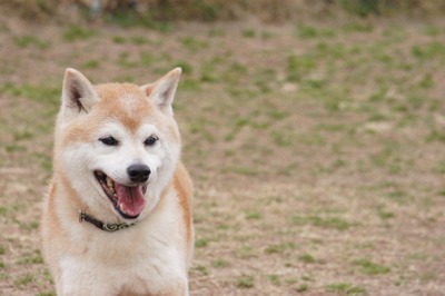 8376bb221c4dff7ac14c4859431c2cb5_s