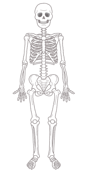 body_kokkaku_gaikotsu2