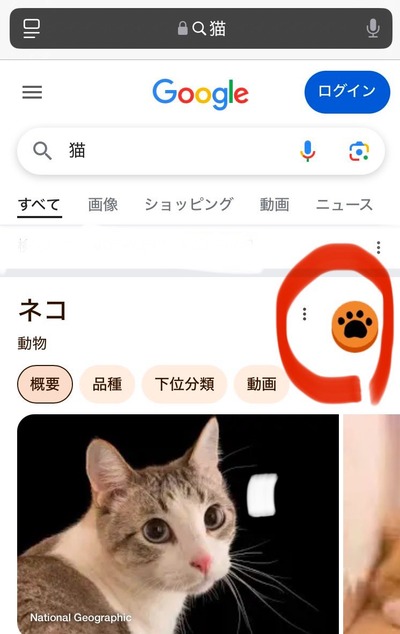 Ggw6jYNbUAAEI4r