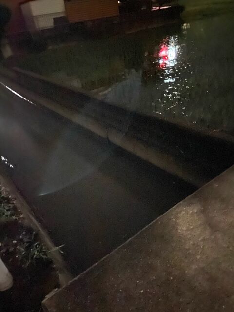 ナマズ釣るために夜の田んぼ来たwwww ナマズ釣るために夜の田んぼ来たwwww