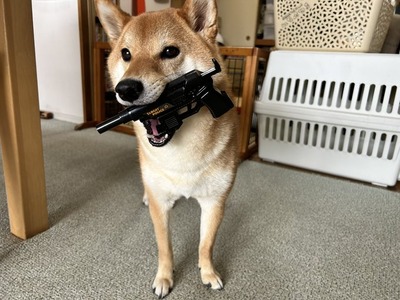 FzOR9zTagAAfz40