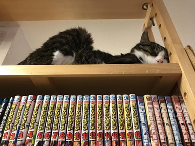 no title