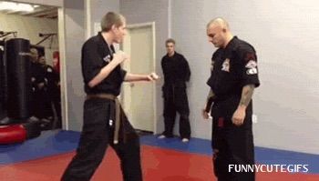 717fb00e